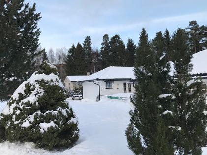 Våre er her!